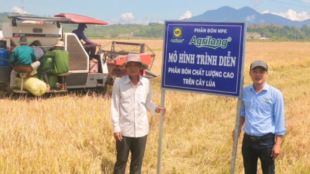 Phân bón Hoàng Long Vina giúp lúa cứng cây, đẻ nhánh khoẻ, năng suất cao
