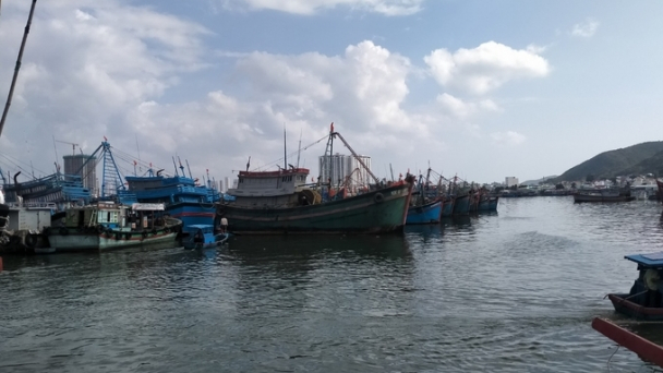 Thiếu lao động đi biển, tàu nằm bờ