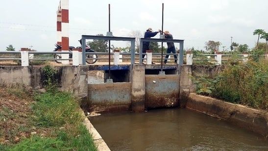 Lên lịch xuống giống vụ hè thu theo đặc điểm nguồn nước
