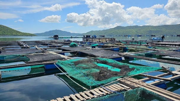 Xử lý nuôi trồng thủy sản không theo quy hoạch