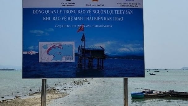 Đề xuất 5 giải pháp phát huy hiệu quả đồng quản lý nghề cá