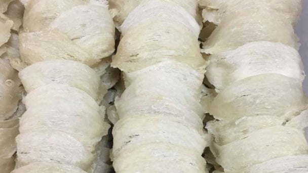 Để tổ yến đáp ứng chất lượng thị trường xuất khẩu