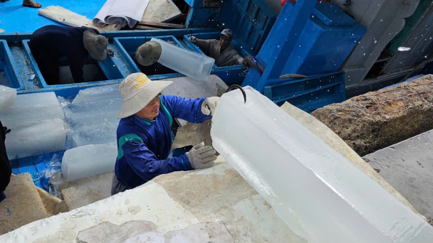 Quản lý chặt đội tàu để chống khai thác IUU
