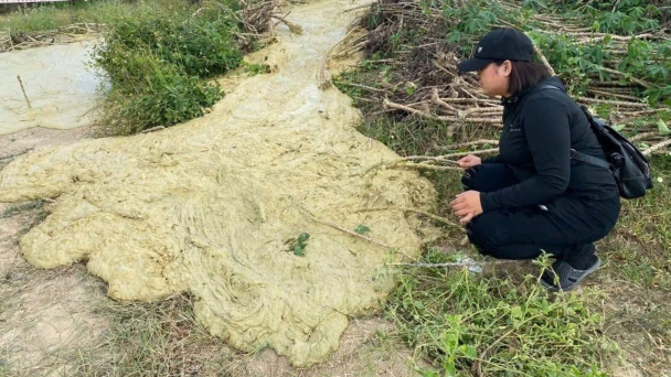 Phú Yên xảy ra hiện tượng trào bùn từ lòng đất