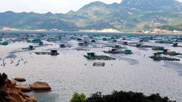 Động lực phát triển đột phá ngành thủy sản