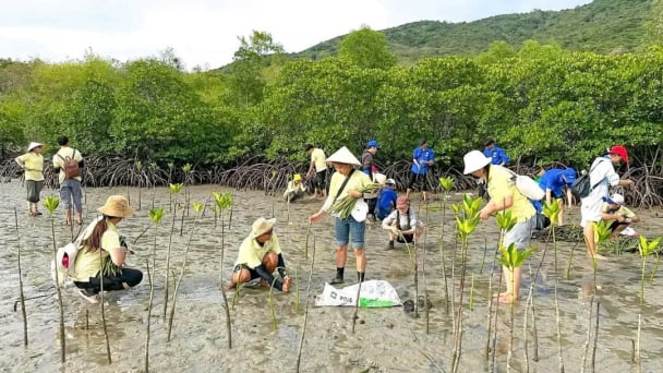 Khánh Hòa hành động vì khí hậu và phát triển bền vững
