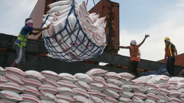 Philippines sẽ nhập khẩu gạo gần 1,7 triệu tấn trong năm 2021
