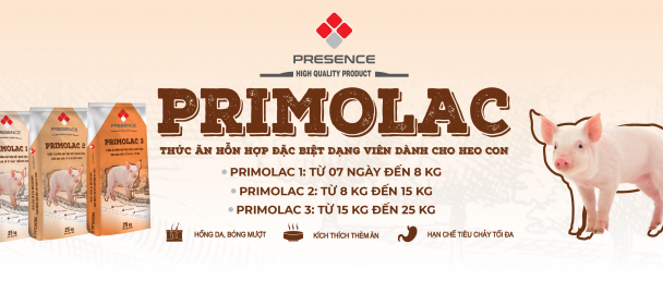 Ngừa tiêu chảy, ‘đẩy’ tăng trưởng với Primolac