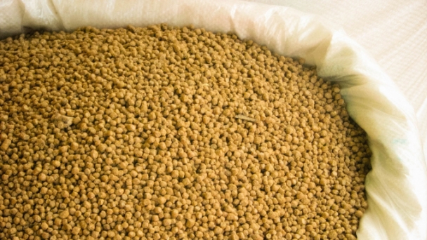 Xuất khẩu thức ăn chăn nuôi sang Trung Quốc tăng hơn 2 lần
