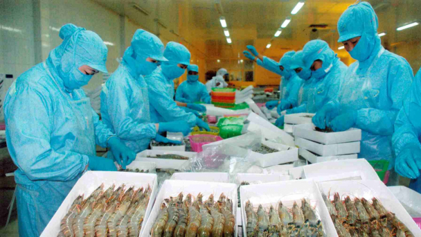 VASEP: 'Chỉ 30-40% doanh nghiệp thủy sản có khả năng phục hồi ngay sau giãn cách'