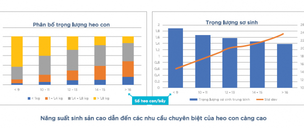 Bí quyết thành công trong thiết lập công thức và sản xuất thức ăn heo con