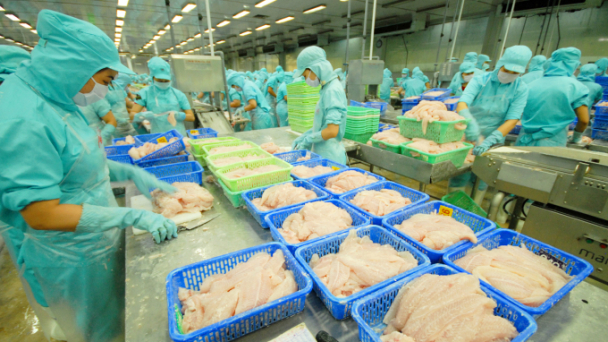 10 doanh nghiệp cá tra hiện không bị Mỹ áp thuế chống bán phá giá