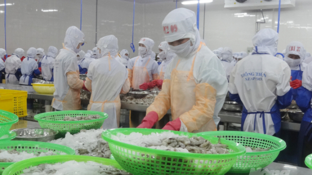 Xuất khẩu tôm sang Hàn Quốc sẽ tăng trưởng trong quý 4