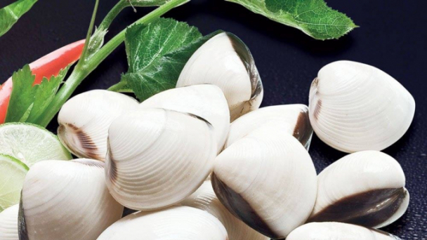 Xuất khẩu nhuyễn thể hai mảnh vỏ sang EU tăng mạnh
