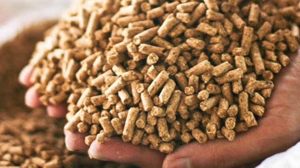 Xuất khẩu thức ăn chăn nuôi lần đầu vượt mốc 1 tỷ USD