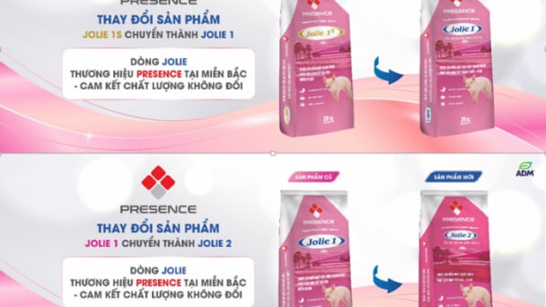Thông báo thay đổi tên gọi và nhận diện hình ảnh dòng sản phẩm Jolie