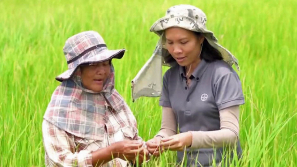 Phụ nữ giúp đảm bảo nguồn cung lương thực, thực phẩm ở châu Á