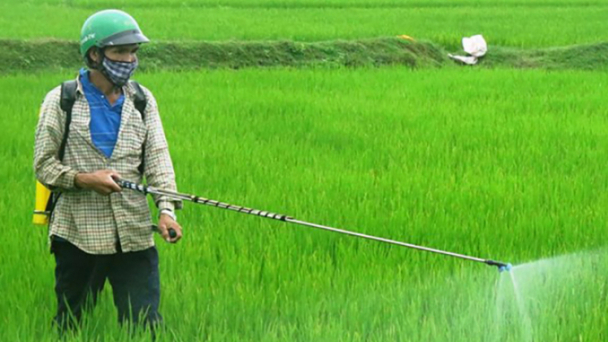 Phát hành chuỗi video về sử dụng thuốc bảo vệ thực vật có trách nhiệm