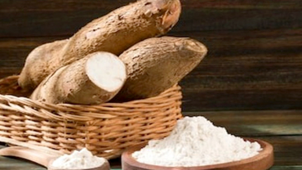 Xuất khẩu sắn sang Trung Quốc thuận lợi, giá tăng