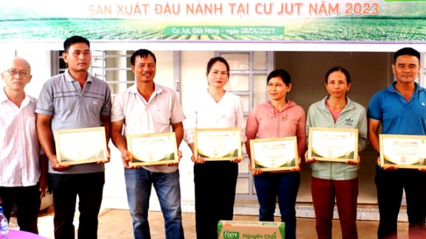 Chứng nhận thành viên Câu lạc bộ 3 tấn cho nhiều nông dân trồng đậu nành