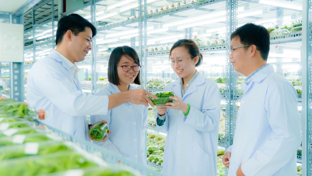70% sản xuất nông nghiệp TP.HCM sẽ ứng dụng công nghệ cao