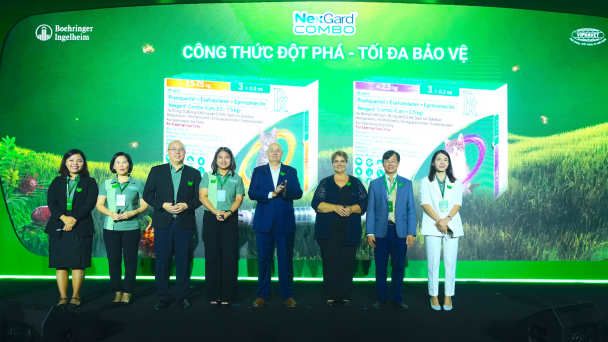 Phòng trị ký sinh trùng trên mèo bằng thuốc nhỏ lên gáy