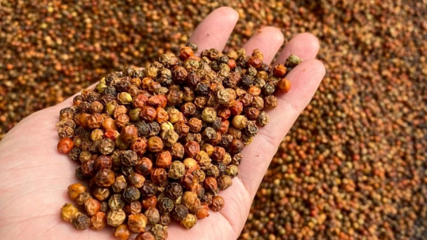 Nông sản, thực phẩm Việt Nam chiếm tỷ lệ thấp trong cảnh báo của EU