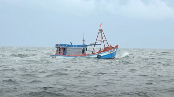 Khai thác thủy sản trái phép bị phạt cao nhất 1 tỷ đồng