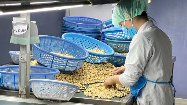 Nhiều doanh nghiệp xuất khẩu nông sản sẽ chịu thiệt hại vì thuế đối ứng của Mỹ