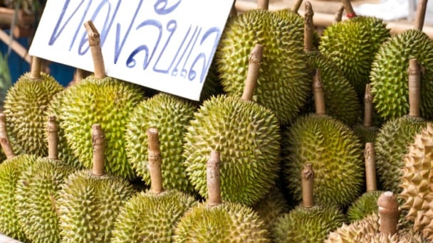 Thái Lan: Sản lượng nhiều loại trái cây tăng mạnh