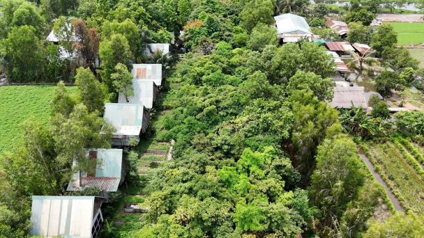 Dùng vi sinh biến rác hữu cơ, phụ phẩm nông nghiệp thành phân hữu cơ