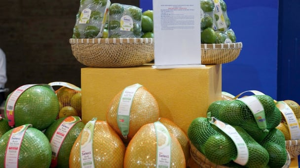 Many markets seeking to import Vietnamese fruits