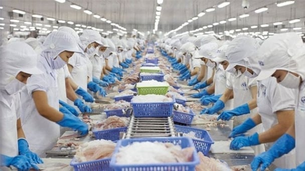 Xuất khẩu thủy sản hướng tới mốc 16 tỷ USD