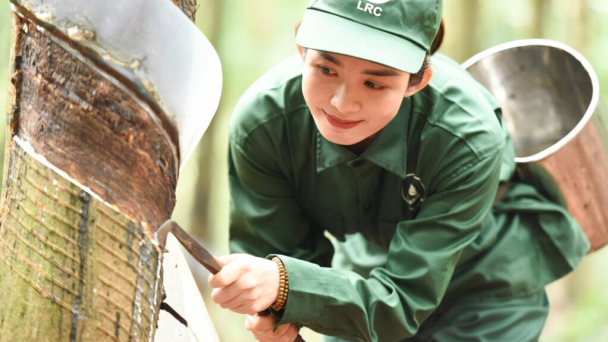 VRG chuyển đổi xanh tạo đà cho tăng trưởng bền vững