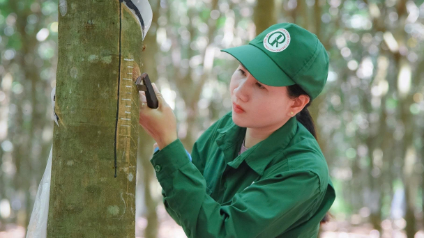 VRG hướng tới mục tiêu doanh thu 50.000 tỷ đồng
