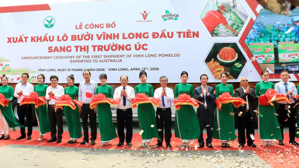 Hàng chục tấn bưởi Việt Nam lên đường sang Úc