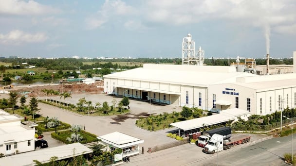 MDF VRG Kiên Giang - từ 'khởi đầu nan' đến phát triển ấn tượng