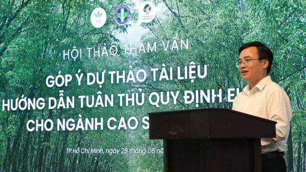 Khẩn trương giúp cao su tiểu điền đáp ứng EUDR