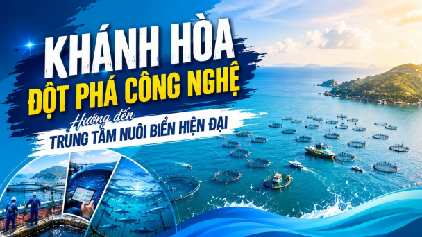 Khánh Hòa đột phá công nghệ, hướng đến trung tâm nuôi biển hiện đại