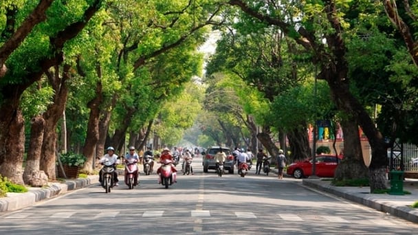 Những ‘cánh chim đầu đàn’ trong hành trình kiến tạo thành phố sạch
