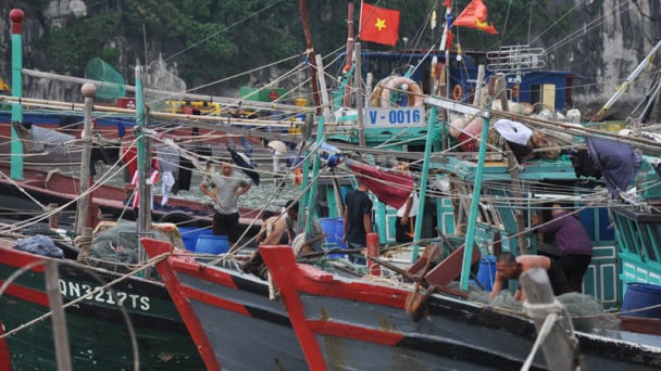 Tỉnh Quảng Ninh rốt ráo phòng chống bão số 7