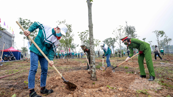 Nô nức hưởng ứng Tết trồng cây