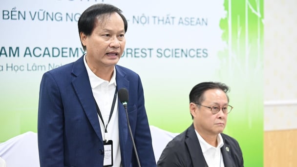 Nguồn gốc gỗ thành lợi thế cạnh tranh trước làn sóng siết truy xuất
