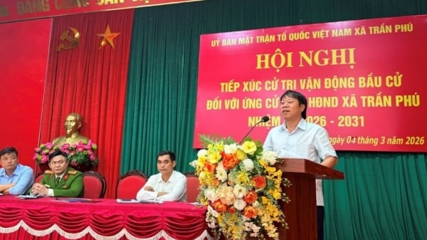 Đưa Trần Phú thành trung tâm hành lang kinh tế nông nghiệp phía tây Thủ đô