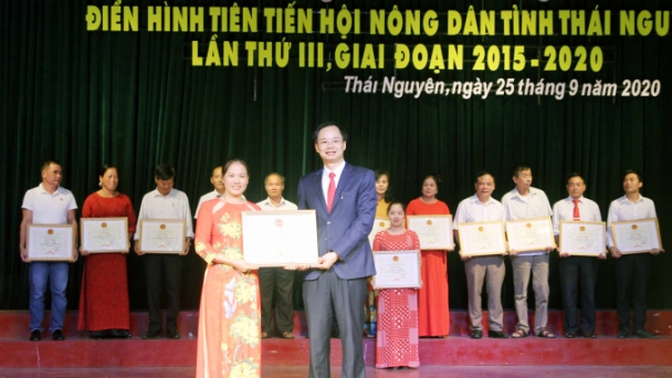 Biểu dương điển hình tiến tiến Hội nông dân