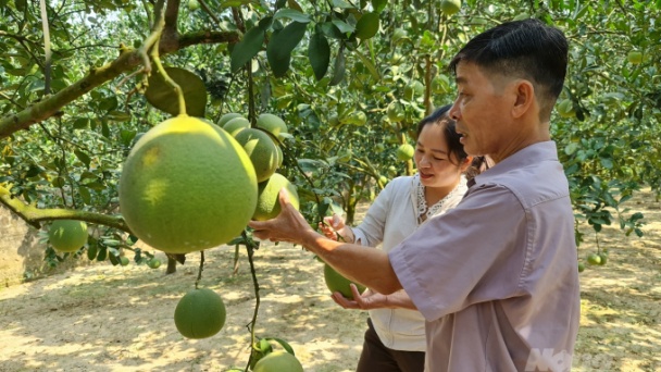 Nông thôn mới thay đổi tư duy bản làng