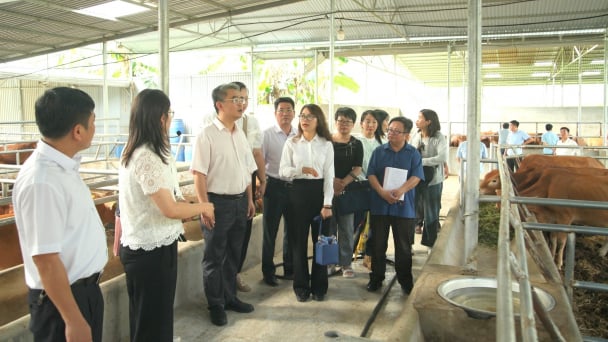 Kiểm soát kịp thời dịch bệnh động vật khu vực biên giới