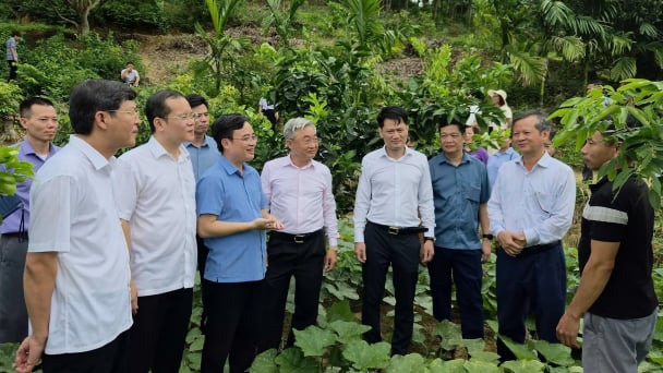 Nhãn Ánh Vàng mở ra hướng đi mới cho Thái Bình