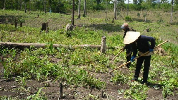 Hỗ trợ đất ở, đất sản xuất cho đồng bào vùng dân tộc thiểu số