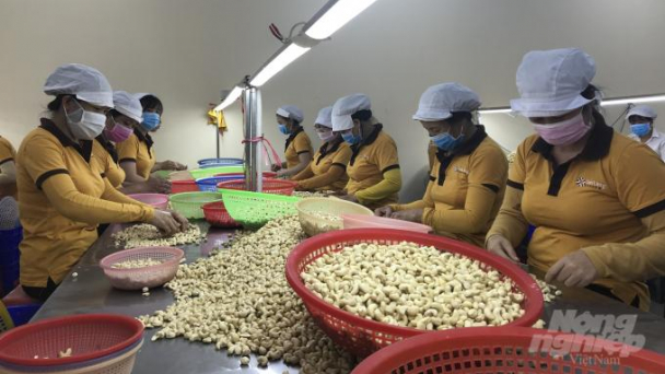 Sử dụng chứng thư điện tử khi xuất sang EU trong bối cảnh Covid-19